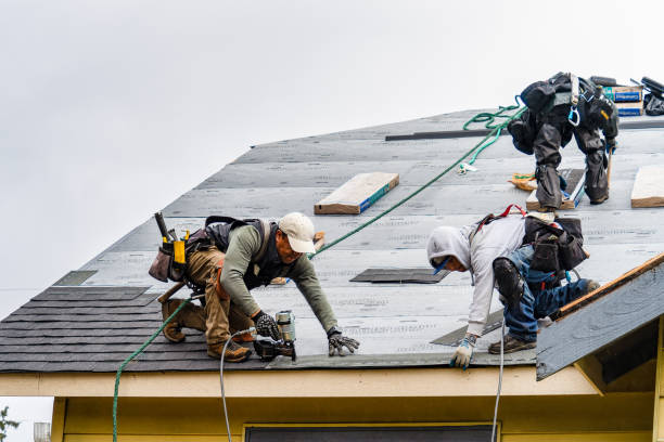 Professional Storm Damage Roof Repair technician working in Morton, MS